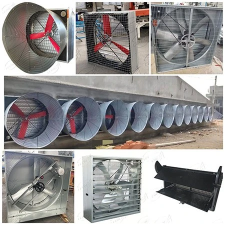 product-450-450
