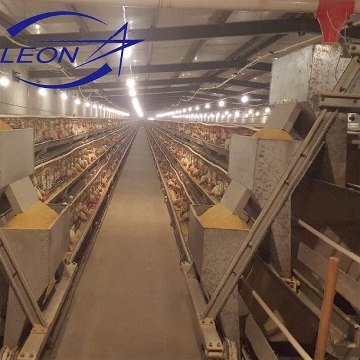 Chicken Layer Cages Chicken Layer Cages