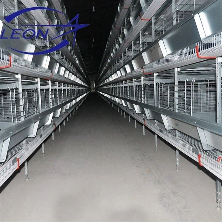 Layer Cages Egg Chicken