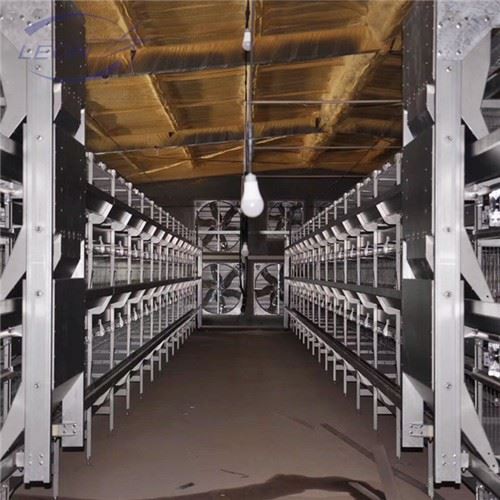 Multi-level H Type Broiler House System Multi-level H Type Broiler House System