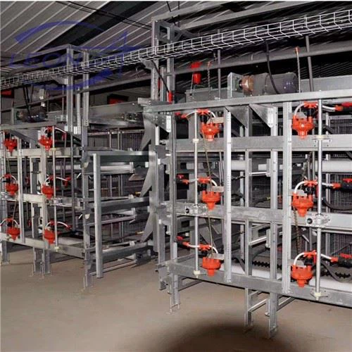 Multi-level H Type Broiler House System Multi-level H Type Broiler House System