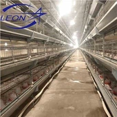 Kandang Ayam Tipe H Untuk Kandang Broiler