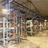 Sistem Rumah Broiler Tipe H Multi-level