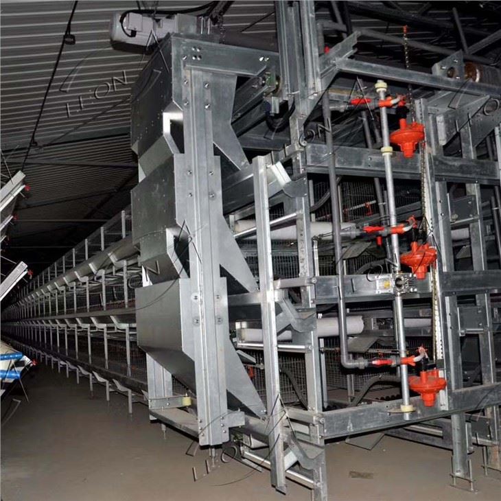 Sistem Kandang Broiler Otomatis Berkualitas Tinggi