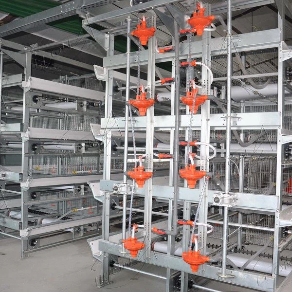 Automatic Layer Cage System
