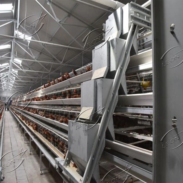 Automatic A Type Layer Chicken Cage Automatic A Type Layer Chicken Cage