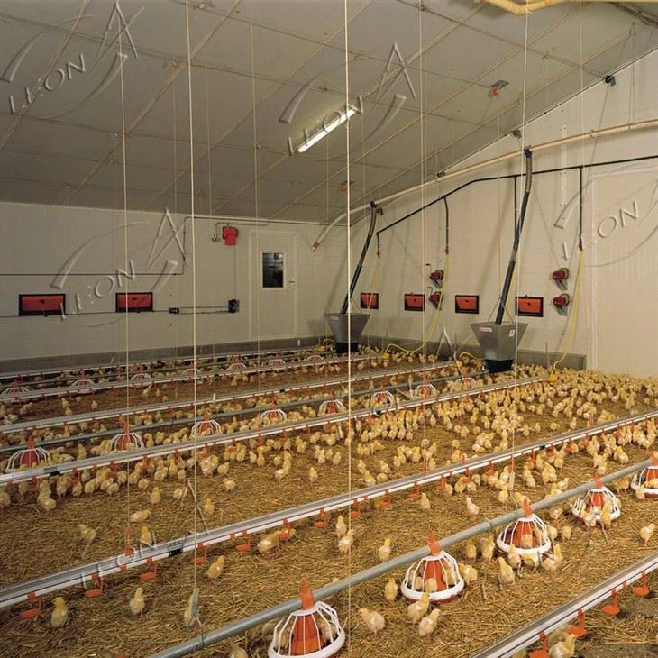 Broiler poultry equipment Broiler poultry equipment