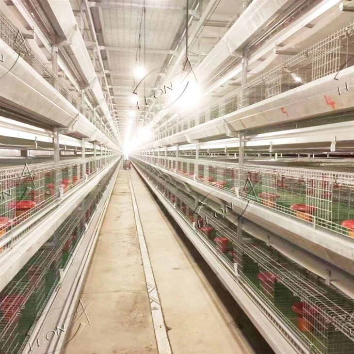 Chicken Cage For Broilers And Baby Chicks