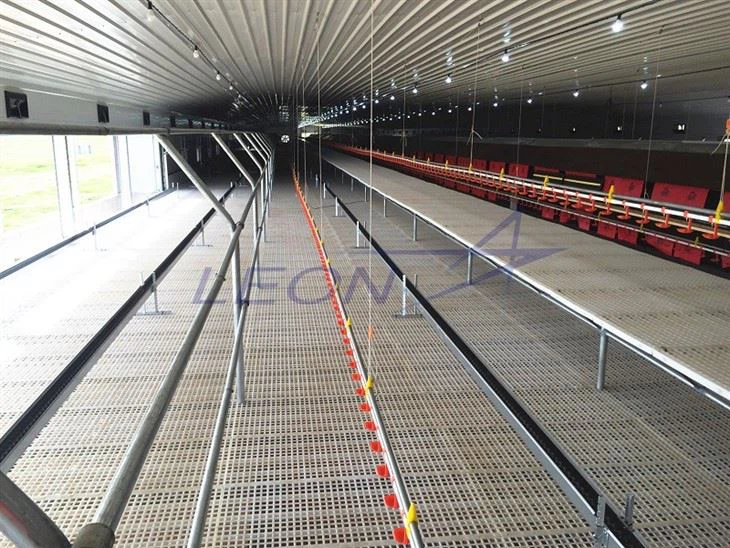 Plastic Slat Floor For Chicken Poultry Farm