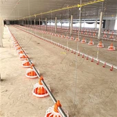 Sistem Pemberian Pakan Panci Broiler Berkualitas Baik